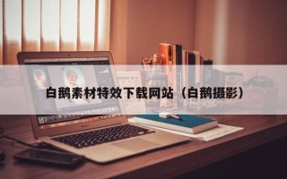 当阳白鹅素材特效下载网站（白鹅摄影）